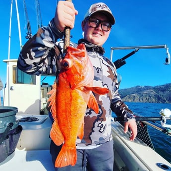 Rockfish Fishing in Bodega Bay, California