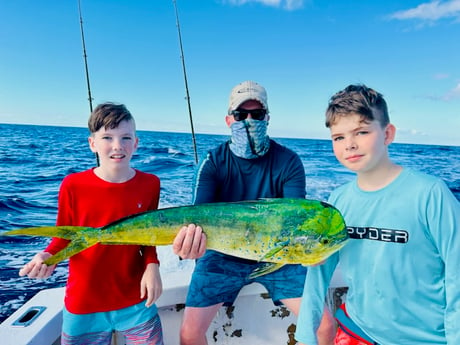 Mahi Mahi Fishing in