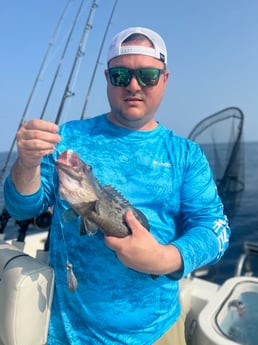 Scamp Grouper Fishing in Mount Pleasant, South Carolina