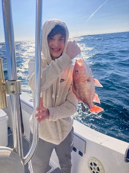 Red Snapper Fishing in Orange Beach, Alabama