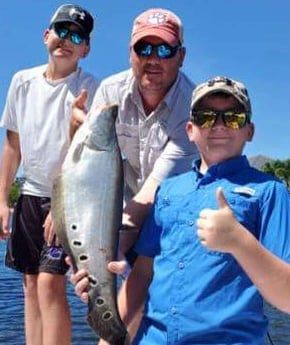 Clown Knifefish fishing in Delray Beach, Florida