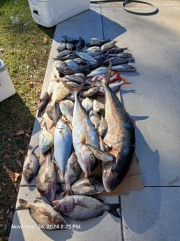 Fishing in Wrightsville Beach, North Carolina