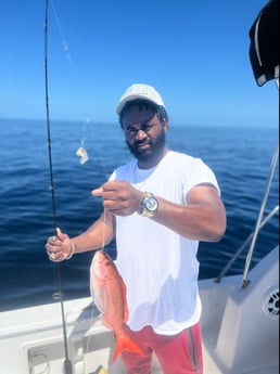 Vermillion Snapper fishing in Mount Pleasant, South Carolina