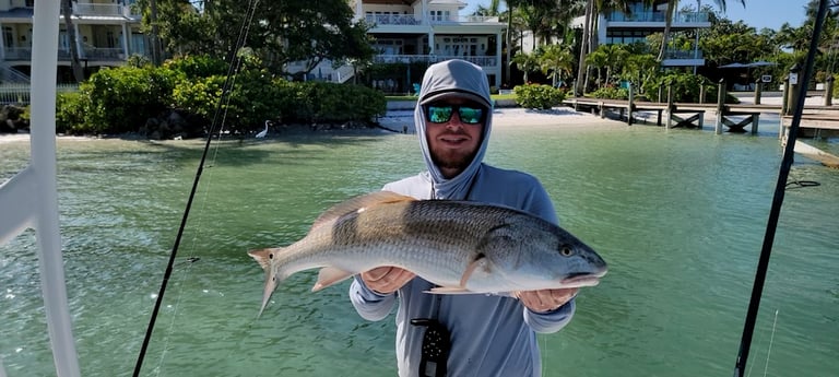 Redfish Fishing in Sarasota, Florida