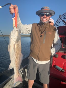 Black Drum, Redfish fishing in Rockport, Texas