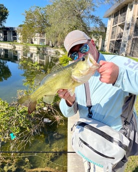 Largemouth Bass Fishing in Jupiter, Florida