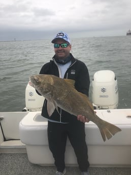 Sheepshead fishing in Galveston, Texas