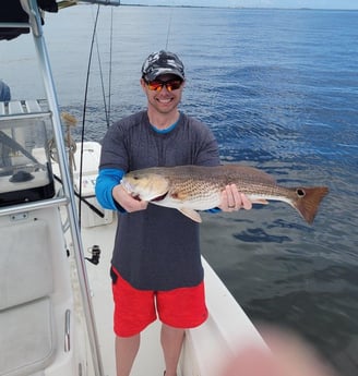 Redfish fishing in Niceville, Florida