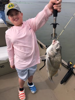 Black Drum Fishing in Rockport, Texas