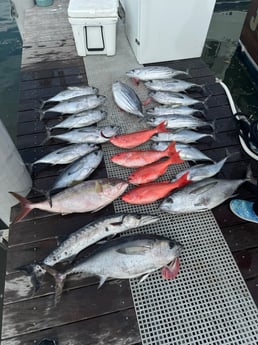 Fishing in Islamorada, Florida