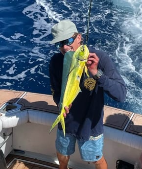 Mahi Mahi / Dorado fishing in South Padre Island, Texas