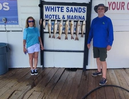 Mangrove Snapper, Redfish Fishing in Port Isabel, Texas