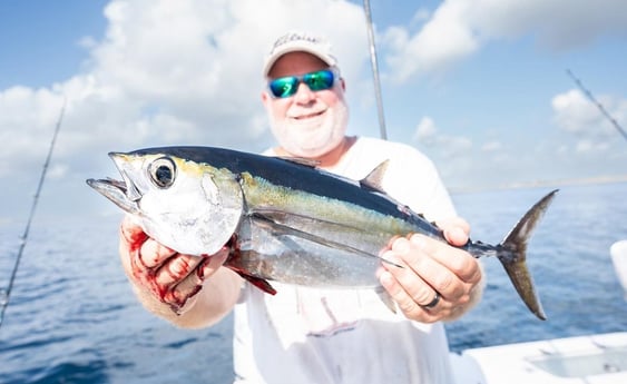 Blackfin Tuna Fishing in Boynton Beach, Florida