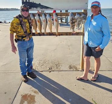 Black Drum, Redfish Fishing in Rockport, Texas