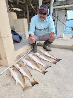 Redfish Fishing in Rio Hondo, Texas