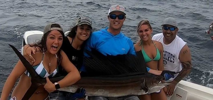 Sailfish fishing in Miami Beach, Florida