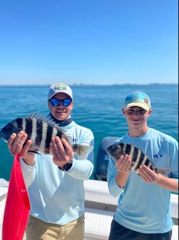 Snook fishing in Sarasota, Florida