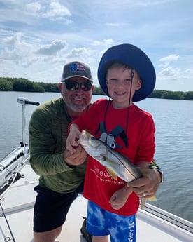 Redfish fishing in Clearwater, Florida