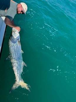 Tarpon Fishing in Key West, Florida