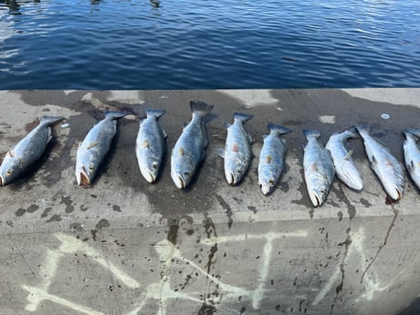 Fishing in Galveston, Texas