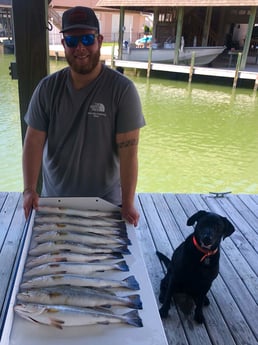 Speckled Trout / Spotted Seatrout fishing in Galveston, Texas