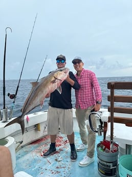 Amberjack Fishing in West Palm Beach, Florida