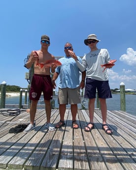 Red Snapper fishing in Pensacola, Florida