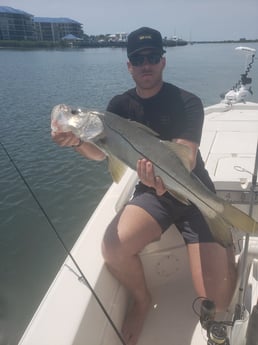 Snook fishing in New Smyrna Beach, Florida