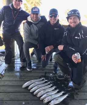 Speckled Trout / Spotted Seatrout fishing in Galveston, Texas