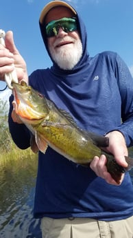 Peacock Bass Fishing in Fort Lauderdale, Florida