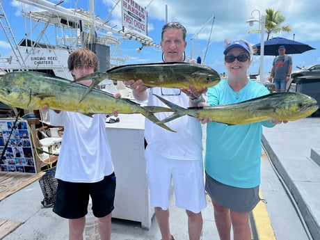 Mahi Mahi / Dorado fishing in Islamorada, Florida