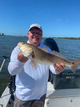 Redfish fishing in St. Petersburg, Florida