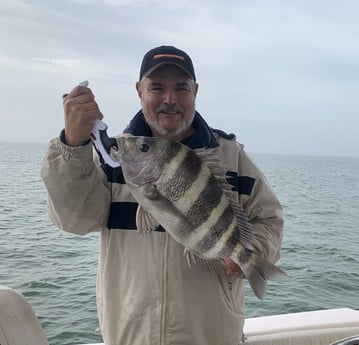 Sheepshead fishing in Galveston, Texas