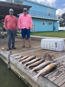 Black Drum, Redfish fishing in Rockport, Texas