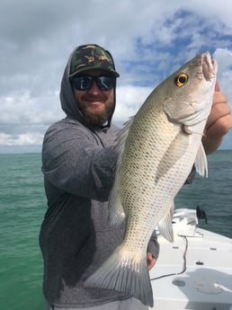 Mangrove Snapper fishing in Tavernier, Florida