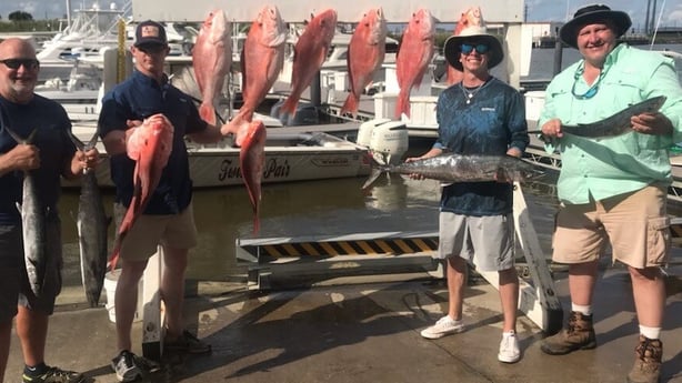 King Mackerel / Kingfish, Red Snapper fishing in