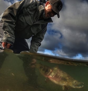 Coho Salmon fishing in Cudjoe Key, Florida