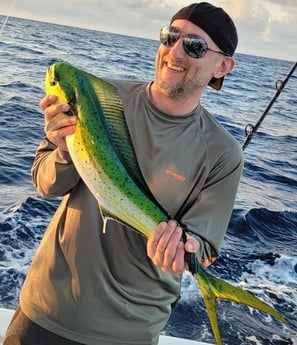 Mahi Mahi Fishing in Pompano Beach, Florida