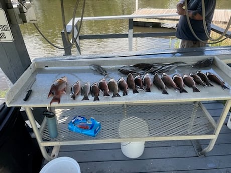 Fishing in Crystal River, Florida