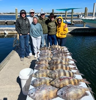 Sheepshead Fishing in Orange Beach, Alabama