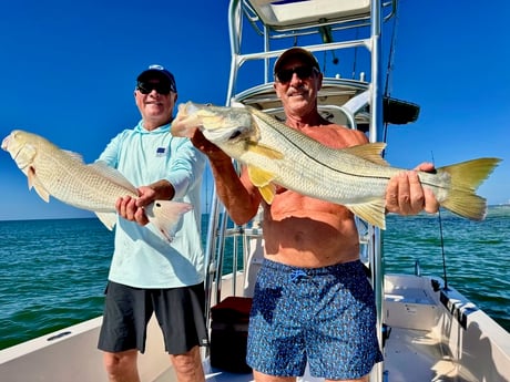 Fishing in Sarasota, Florida