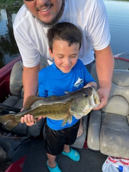 Largemouth Bass fishing in Fort Lauderdale, Florida