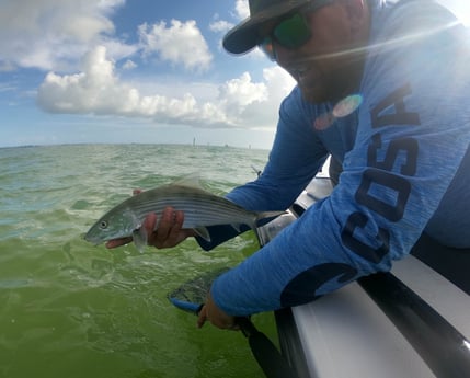 Bonefish fishing in Islamorada, Florida