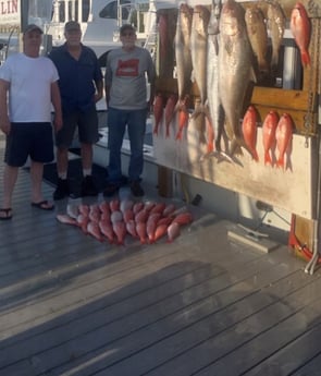 Amberjack, King Mackerel / Kingfish, Vermillion Snapper fishing in Destin, Florida