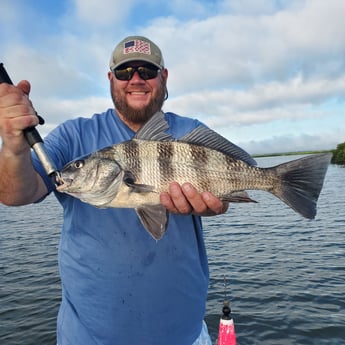 Black Drum fishing in New Smyrna Beach, Florida