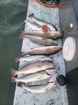 Redfish, Speckled Trout Fishing in South Padre Island, Texas