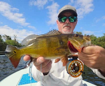 Fishing in Fort Lauderdale, Florida