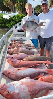 Red Grouper, Red Snapper, Triggerfish fishing in Clearwater, Florida