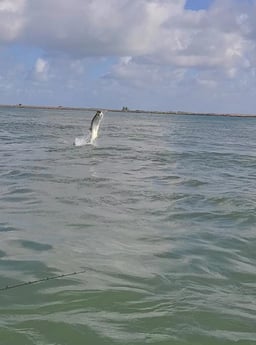 Tarpon fishing in Port O&#039;Connor, Texas