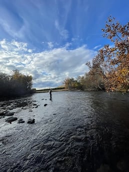 Fishing in Hume, California